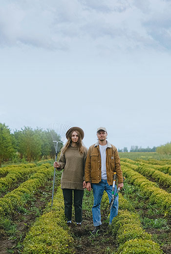 Cómo animar nubes en Photoshop