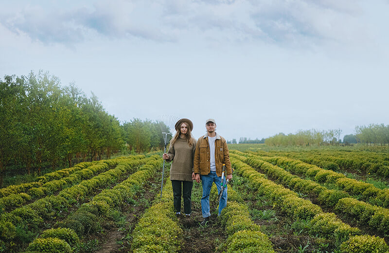 Cómo animar nubes en Photoshop