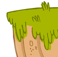 Planta carnivora ilustrada