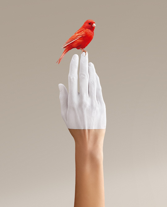 Look and fell user friendly