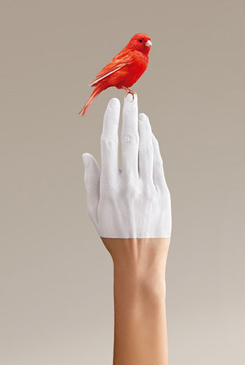 Diseño web & Wireframing